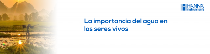 Los beneficios de beber agua cada día - Fundación Aquae